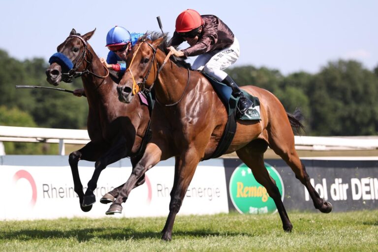 Noch Neun im Aufgebot für Dinger’s Gartencenter Köln – Sprint Trophy