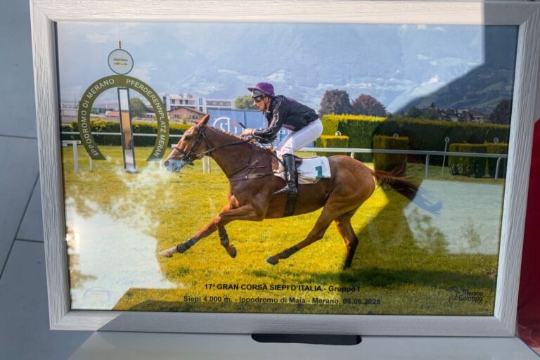 Was für ein Pferd – Cabot Cliffs Gruppe I-Sieger in Meran