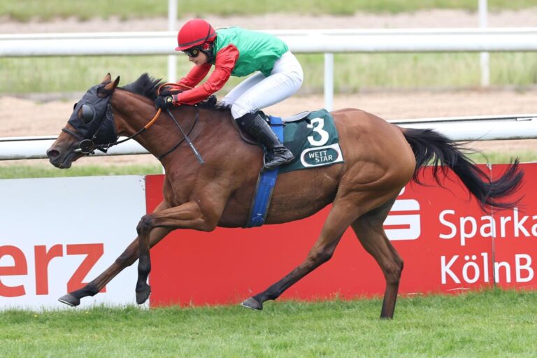 Holland-Viererwette auf der Meile – Crocus am Ende ganz leicht