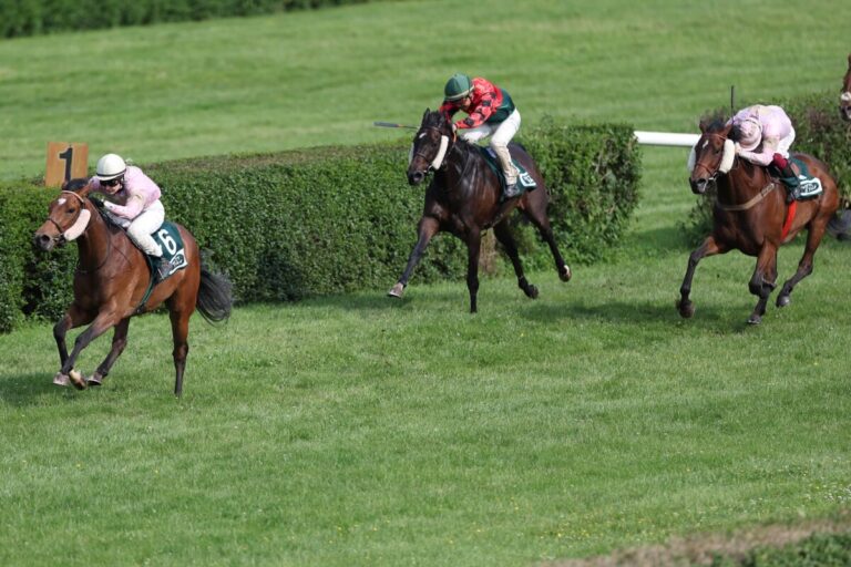 Cuban Lynx mit der Stallform zum ersten Sieg