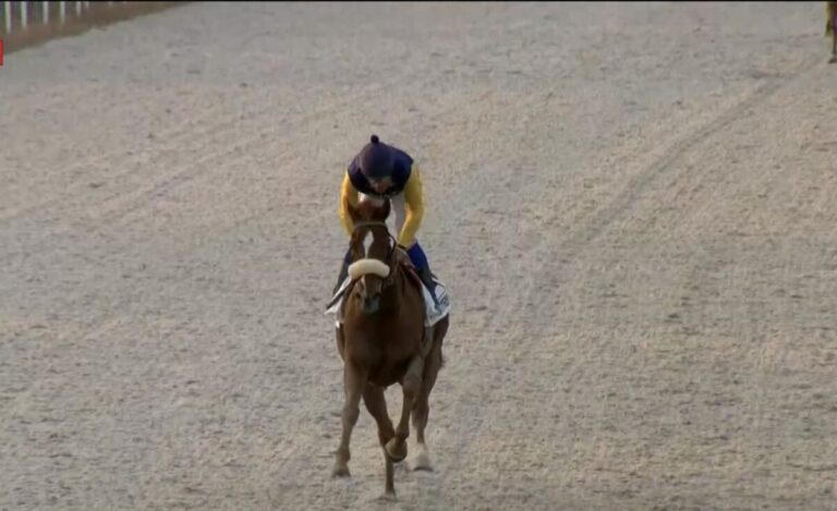 „Elfmeter“ Dato verwandelt – Perfekter Mons-Tag für den Pietsch-Stall