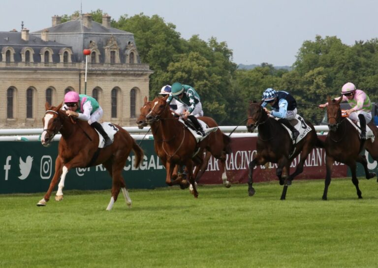 Chantilly: Gruppe-Platzierung für Erle-Halbschwester Eleganz