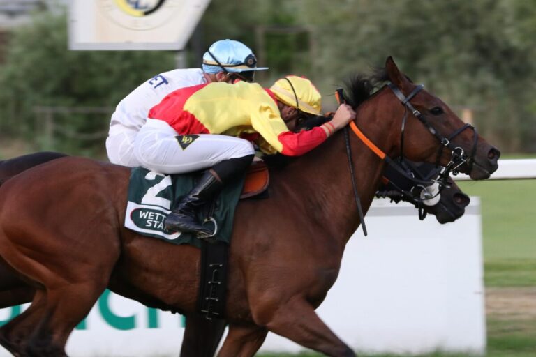 Delozier rahmt den Renntag ein – Flamingo Hollow nickt noch ein