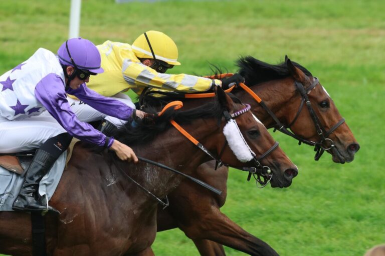 Es muss auch mal Kaviar sein – Achter Meetingstreffer für de Vries