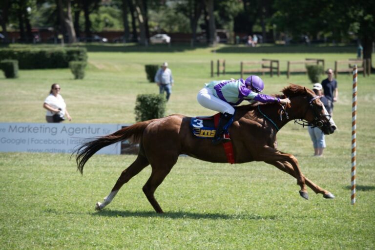 Cronauer und King’s Crown feiern gemeinsam erste Saisonsiege