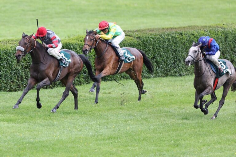 Königin Marika siegt unter Eduardo Pedroza