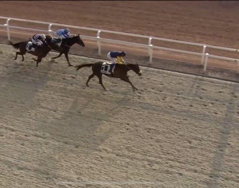 La Loire gewinnt – Caroline Pietsch macht in Mons die Stallparade perfekt