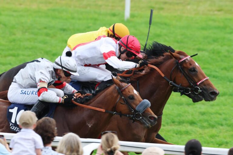 Auch Lordano mit Baden-Hattrick: Grosser Preis von Tattersalls an Ittlinger