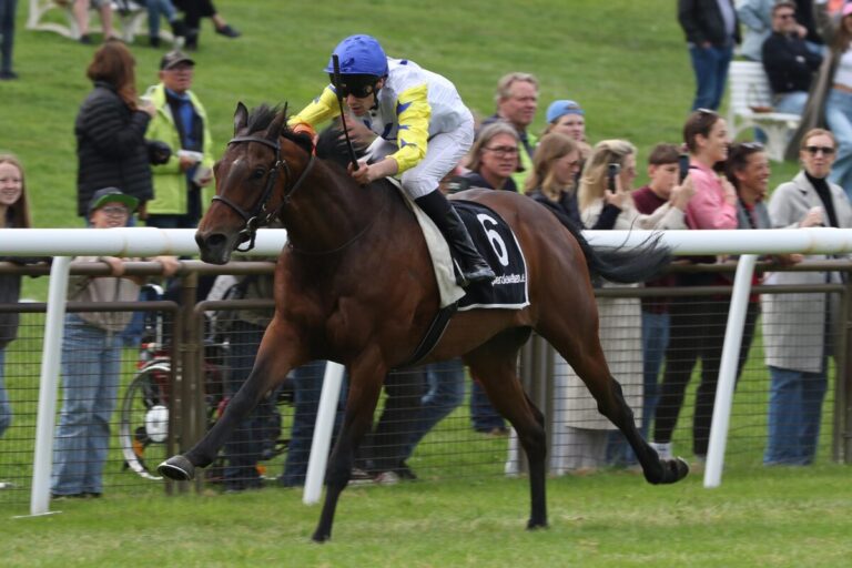 Wieder Nedorostek: Night Star zum Abschluss auf der Neuen Bult