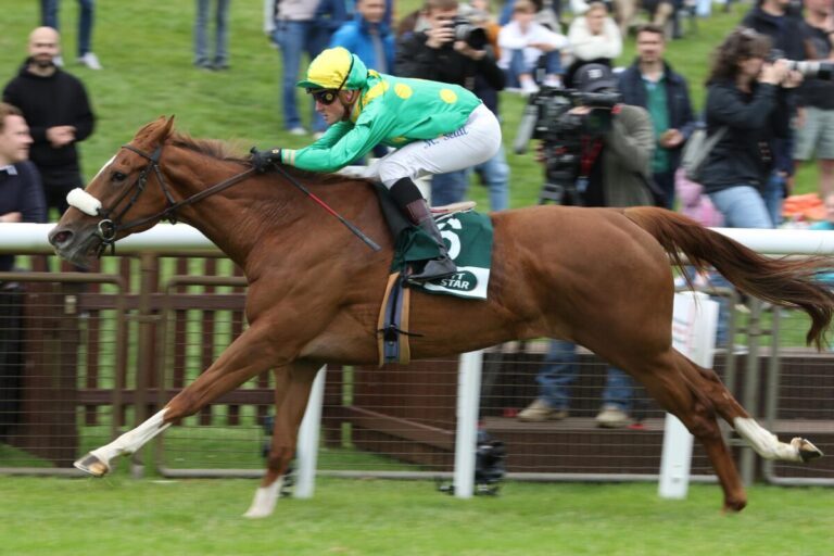 Zweimal „Ü“ in Hannover – Petra My Love und Adio „andere Ware“