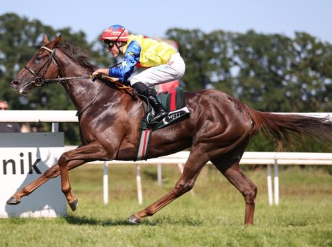Royal Spirit siegt unter Martin Seidl