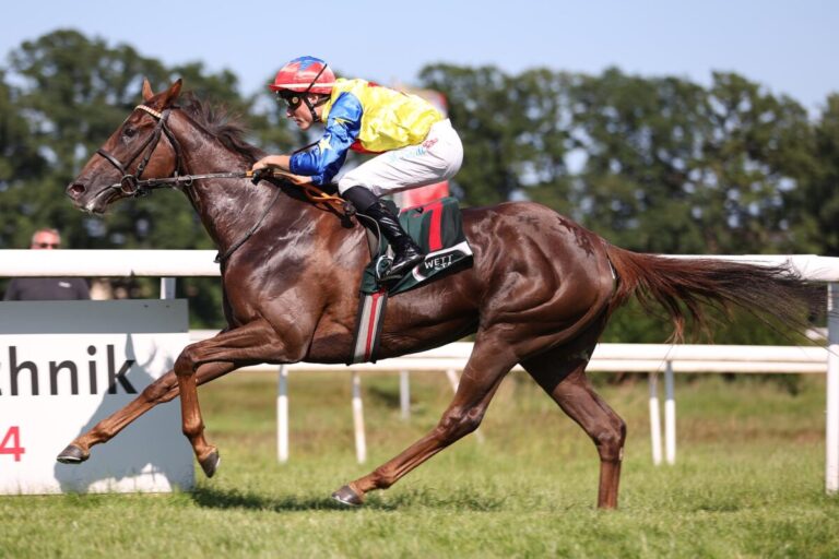 Ein Black Type-Pferd? Royal Spirit gleicht für Schiergen aus