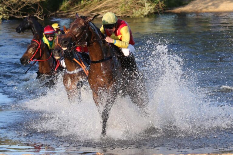 Kein Seejagdrennen – „Auflagen nicht erfüllbar“ – Zwei Alternativen