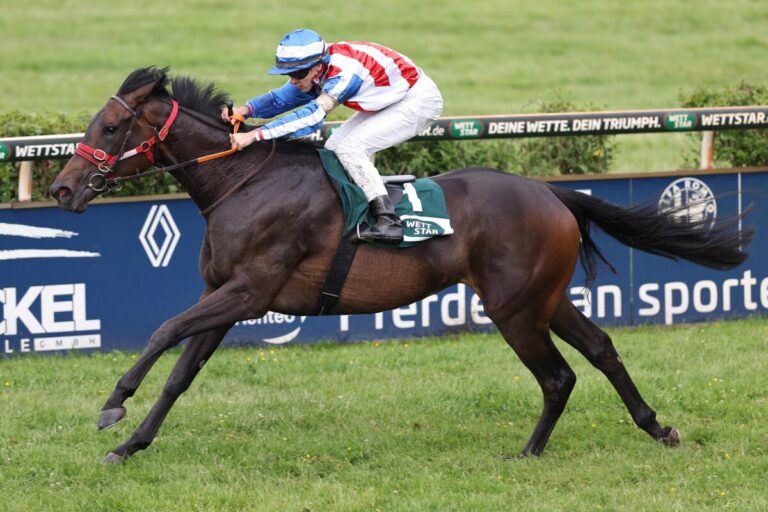 Hammer-Hansen mit erstem Tagestreffer in Krefeld