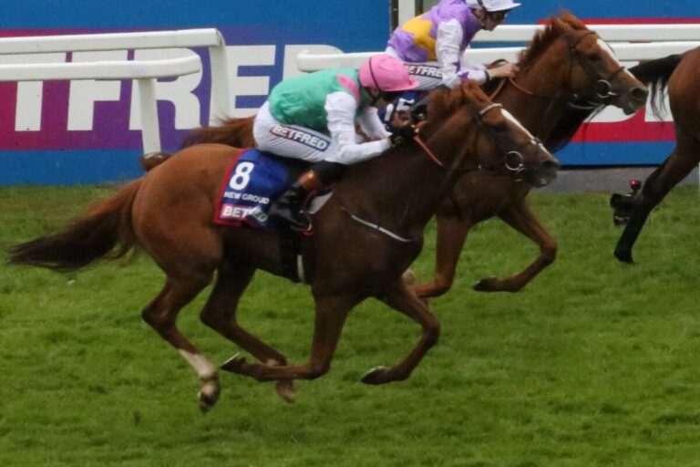 New Ground – Tendenz für Paris und gegen Hamburg