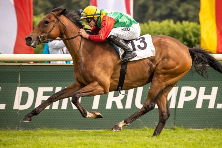 Summerwind und Poppy Pimento in Viererwetten-Rennen vorne