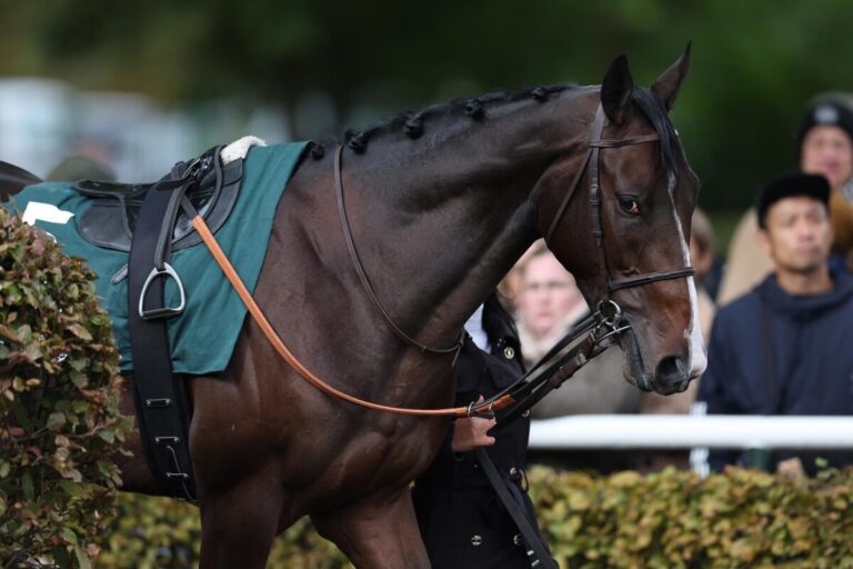 Das Comeback von Think Giant – Reicht es noch für Hamburg?