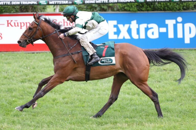 Krefeld: „Tom“ dreht Spieß gegen den Tiger um