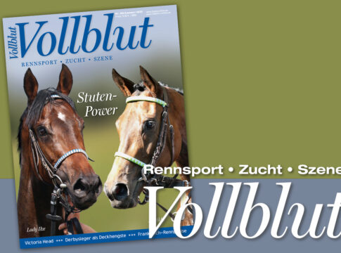 VB281_teaser_GOL