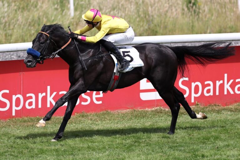 Wikinger siegt unter Leon Wolff