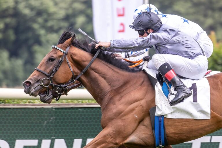 Beim 2. Ritt: Comeback-Sieg für Andrasch Starke mit Winnyzja