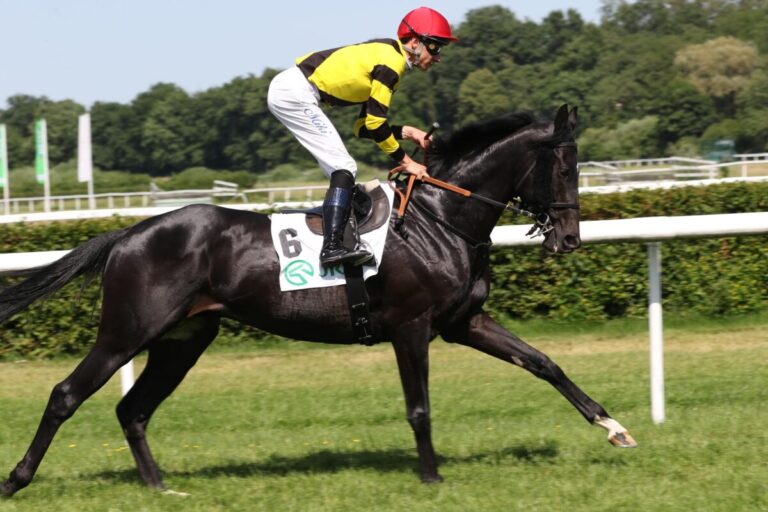 Smrczek-Duo raus aus Derby – Nun noch 35 im „Blauen Band“