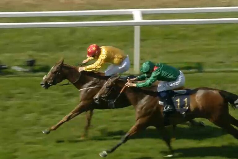 Sensation in Coronation Stakes: Underdog Cercene schlägt Zarigana