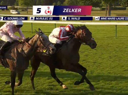 Zelker