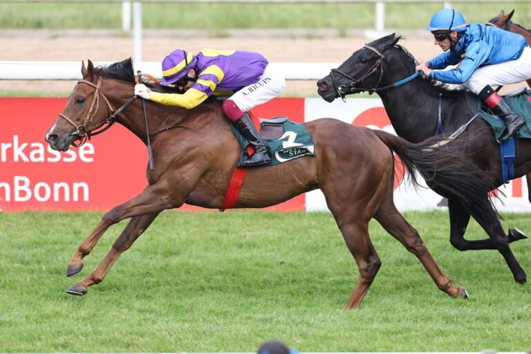 Stallform steht: Al Hitmi für Romy, Ohcorona für Mäder