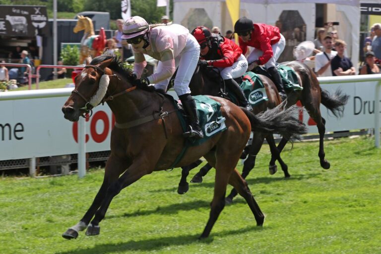 Romy weiter „on fire“ – Cuban Lynx auch in Hamburg vorne