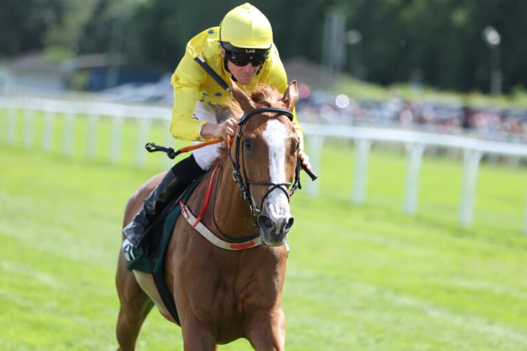 Hochüberlegen in der Sieglosenklasse: Galactica Al Günay überrascht