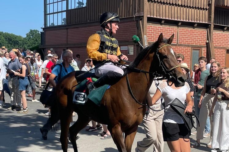 Immer wieder Wöhler! Nightdance Wood siegt im Dresdener Auktionsrennen