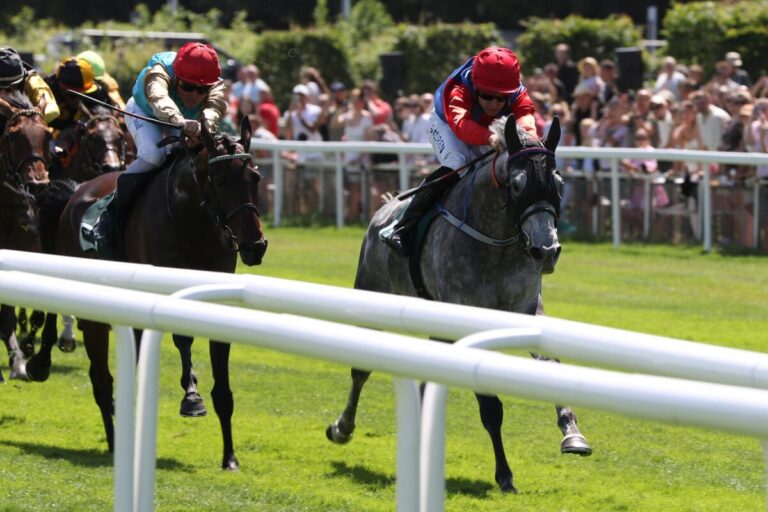 Wieder die alte: North Reliance in Hamburger Listenrennen ganz vorne