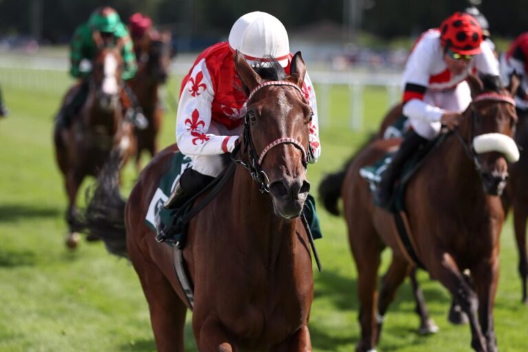 Sadora wieder Start-Ziel zum Abschluss – Wöhler im Championat vorne