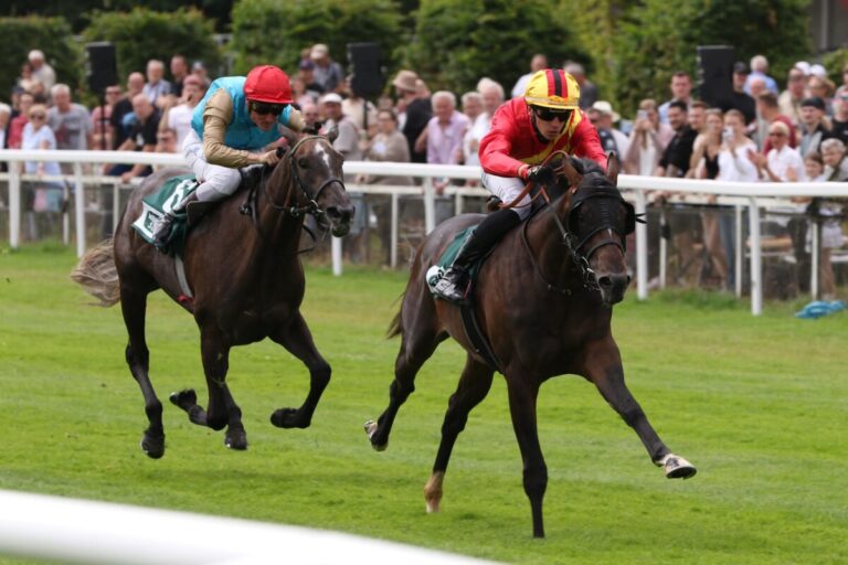 Derbymeeting eröffnet: Subis zweijähriger Seguro erster Sieger