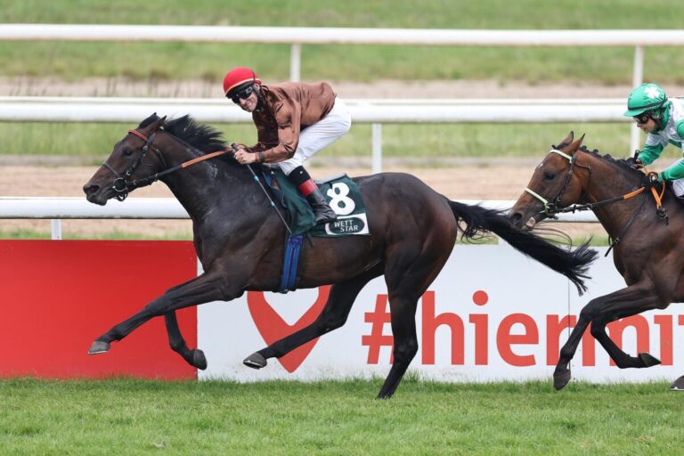 Kölner Union: Schiergens Zuckerhut ringt Hochkönig nieder