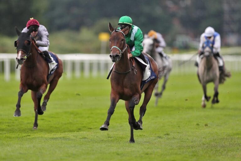 Super-Araber HM Alchahine gewinnt Super-Araberrennen