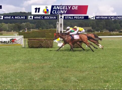 Angely de Cluny