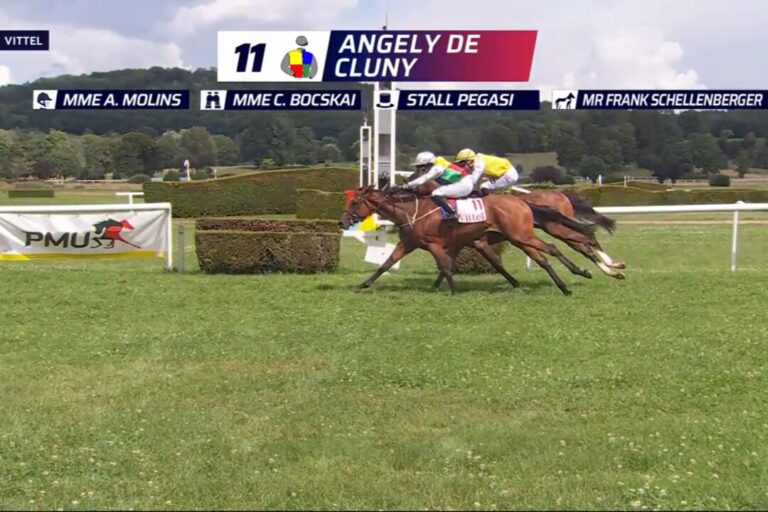 Angely de Clunys Sieg in Vittel: Carmen Bocskais Trainer- und Züchterfreude