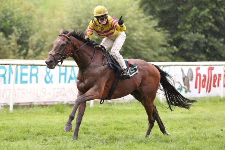 Zweiter Meetingssieg für die Weidlers – Arturo im besten Handicap vorne