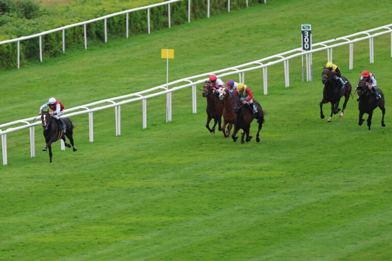 Nach dem Hansa-Preis – Das sagen die Platzierten