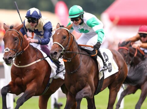 Hochkönig siegt unter Nina Baltromei im IDEE 156. Deutsches Derby