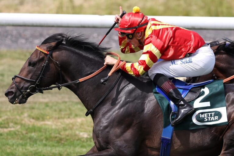 Best Lightning unter Martin Seidl