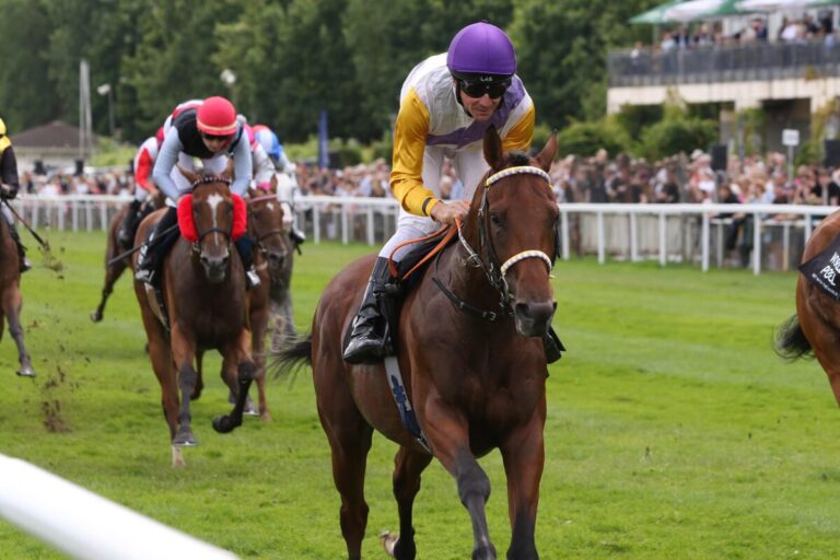 Royal Spirit im Pech, Dragon Magic gewinnt Meiler-Auktionsrennen