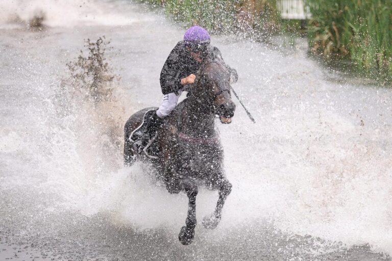Everglow überrascht Innovante im Seejagdrennen