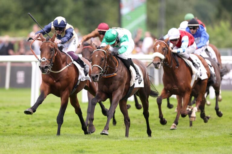 IDEE 156. Deutsches Derby – So liefen sie ein