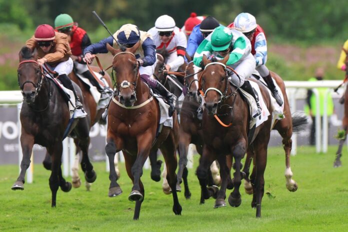 Hochkönig siegt unter Nina Baltromei im IDEE 156. Deutsches Derby