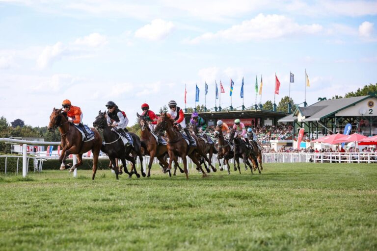 Galopp in Bad Harzburg