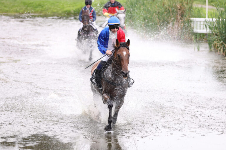 Finale im Harz: Seekönig gesucht und Forsberg jetzt im Handicap