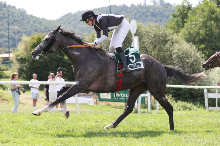 Isla Coiba Weißmeiers erster Meetingssieger im Harz